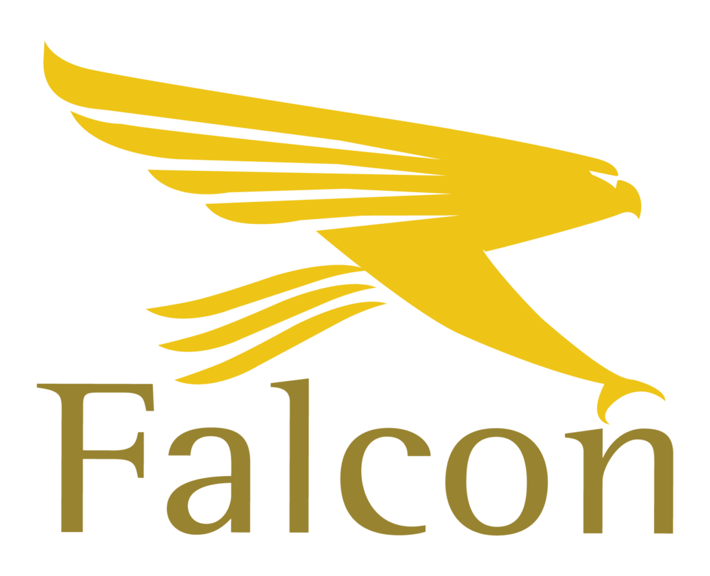 Falcon – Consultoria Financeira Automobilística